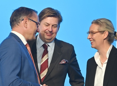 »Champagner-Max« Krah (M.) und die AfD-Vorsitzenden Tino Chrupalla (l.) und Alice Weidel. Nicht im Bild: Wladimir Putin