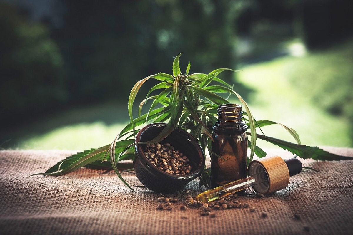 Abbildung Cannabispflanze, Samen und CBD-Öl