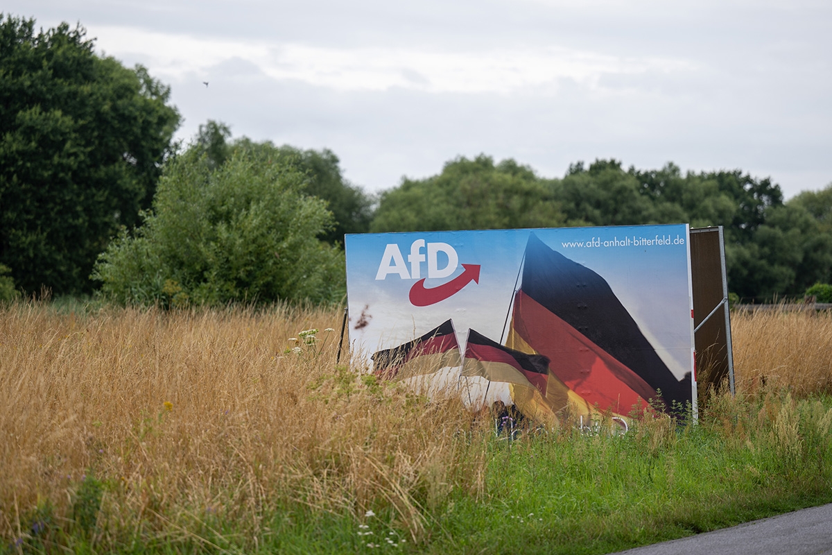 Ein Wahlplakat der AfD Ende Juli in einer Wiese bei Bitterfeld