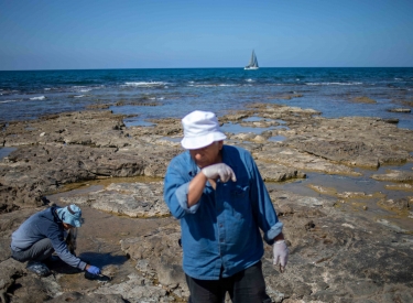 Freiwillige entfernen angeschwemmten Teer von Felsen in Haifa