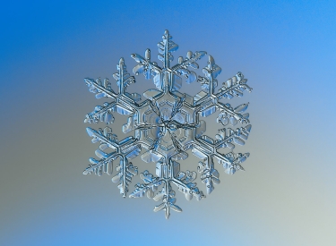 Makrofotografie einer Schneeflocke