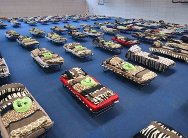 Betten für Flüchtlinge in einer Turnhalle in Dresden